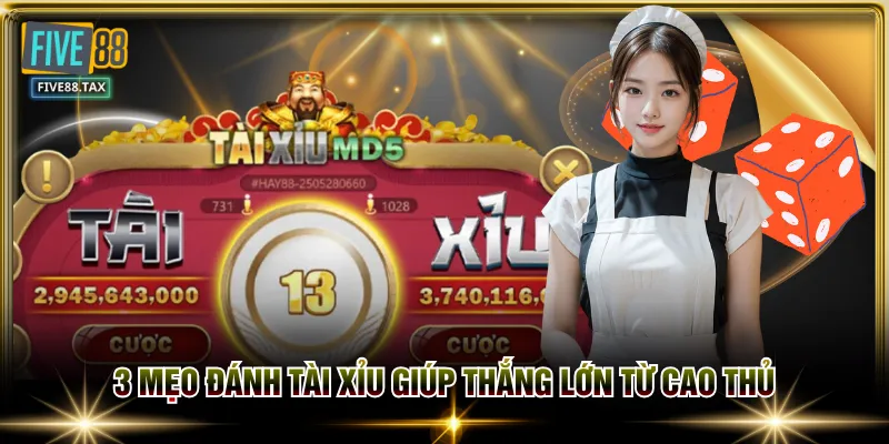 3 mẹo đánh Tài Xỉu giúp thắng lớn từ cao thủ